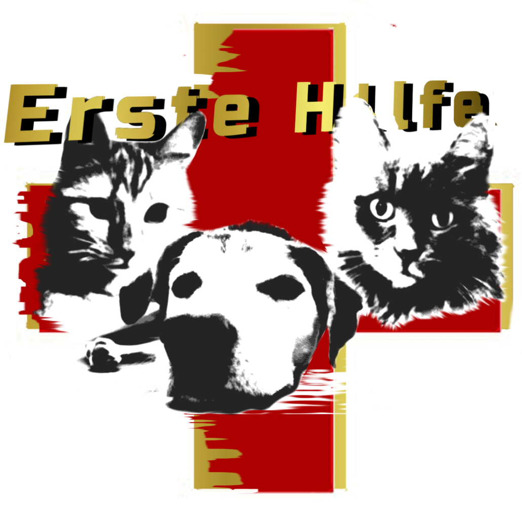 Erste Hilfe bei Hund und Katze leisten