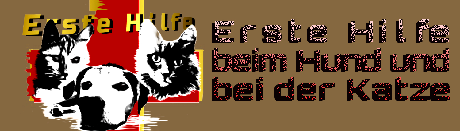 Erste Hilfe beim Hund und bei der Katze