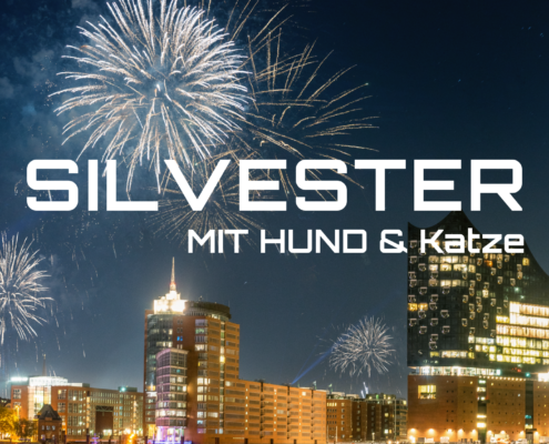 Silvester mit Hund und Katzee