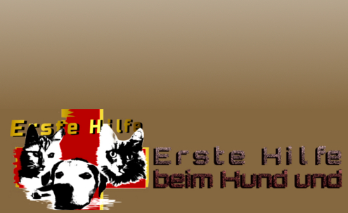 Erste-hilfe-beim-hund