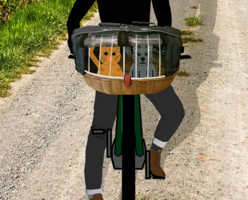 Athos_nalah_Korb-fahrrad