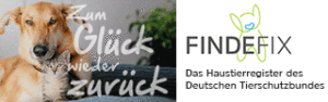Findefix banner