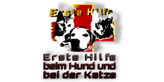 Erste-Hilfe-bei-hund-und-katze